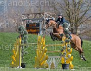 Philippaerts N Rochet TosTour2013- S5 2774 : Arezzo, Arezzo Equestrian Centre, Philippaerts Nicola, Rochet de la Vaulx, Toscana Tour 2013, foto di Stefano Secchi ©